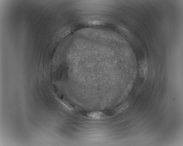 X0000062170410200512231631