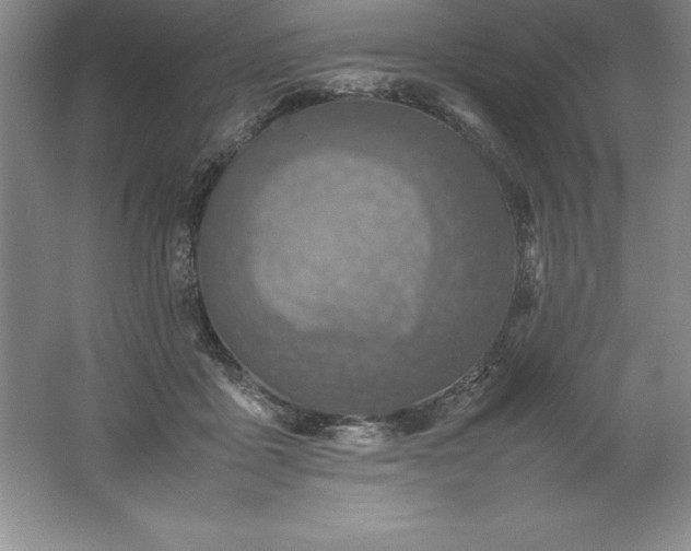 X0000062170411200512231631