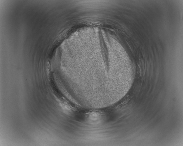 X0000062170412200512231631