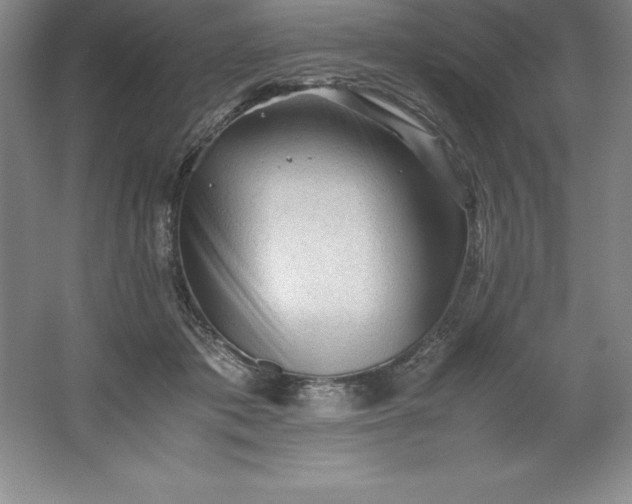 X0000062170413200512231631