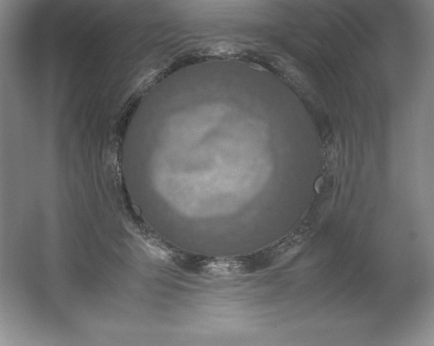 X0000062170415200512231631