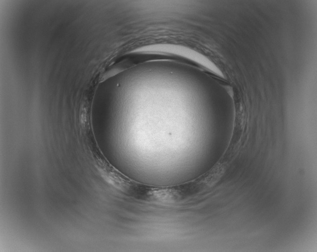 X0000062170417200512231631