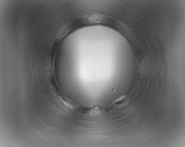 X0000062170418200512231631