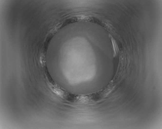 X0000062170419200512231631