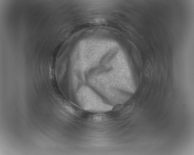 X0000062170420200512231631