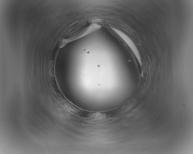 X0000062170421200512231631