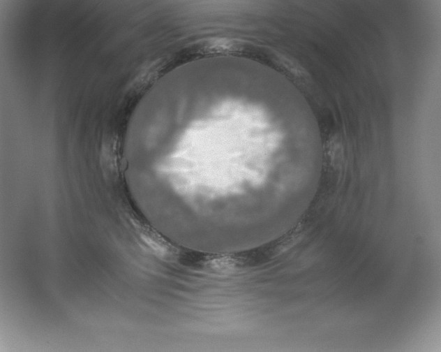 X0000062170423200512231631