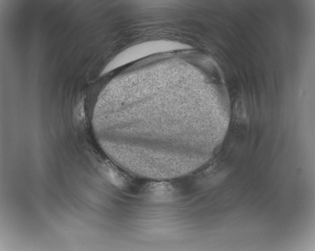 X0000062170424200512231631