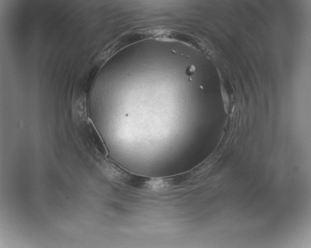 X0000062170425200512231631