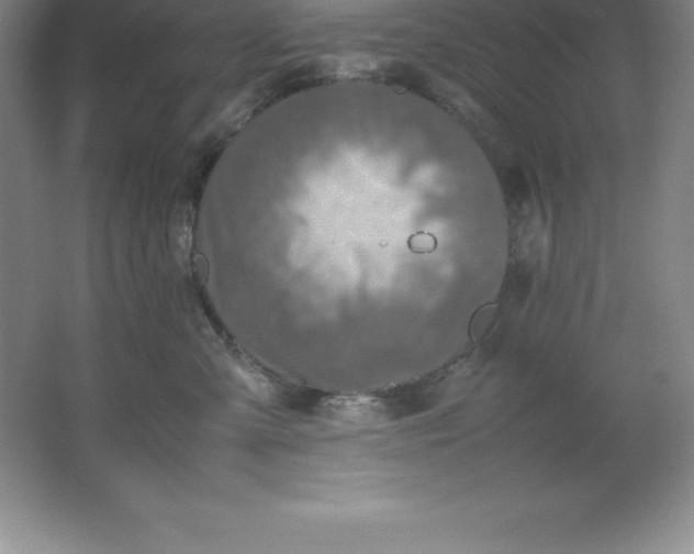 X0000062170427200512231631