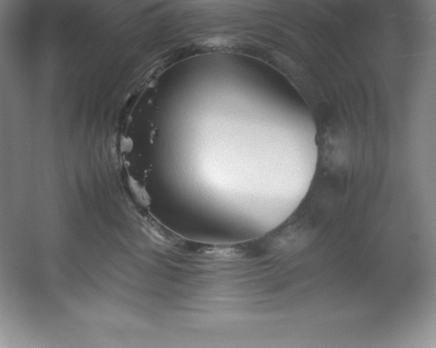 X0000062170428200512231631