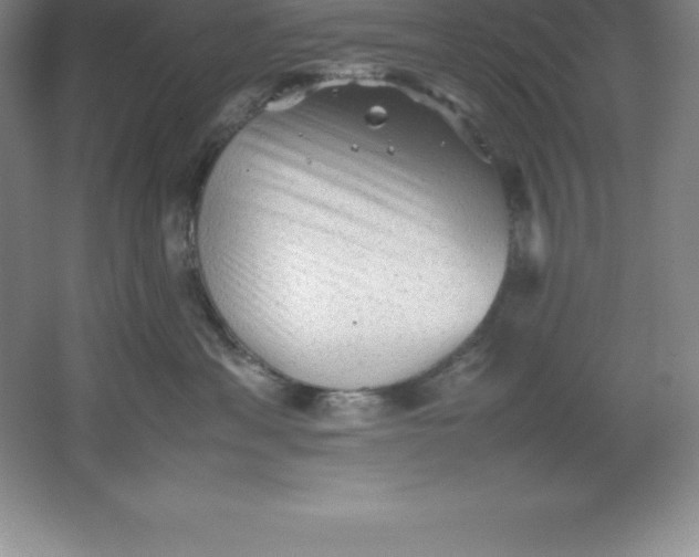 X0000062170429200512231631