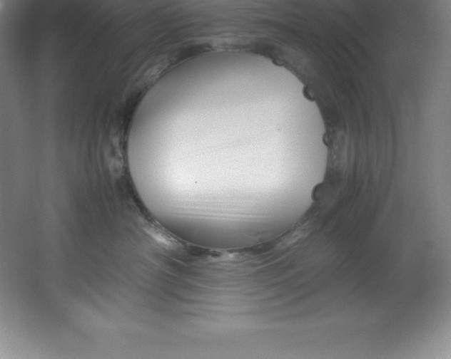 X0000062170430200512231631