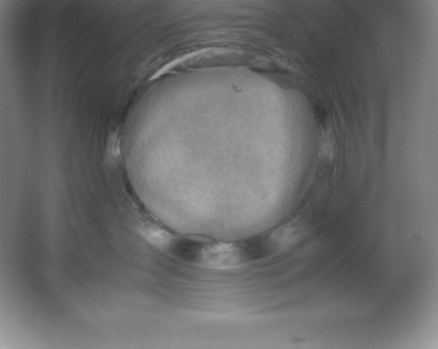 X0000062170431200512231631