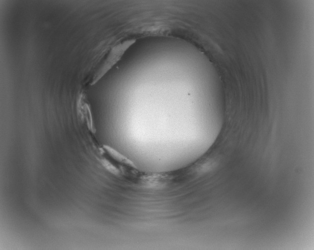 X0000062170432200512231631