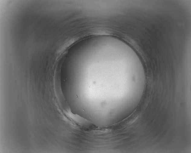 X0000062170433200512231630