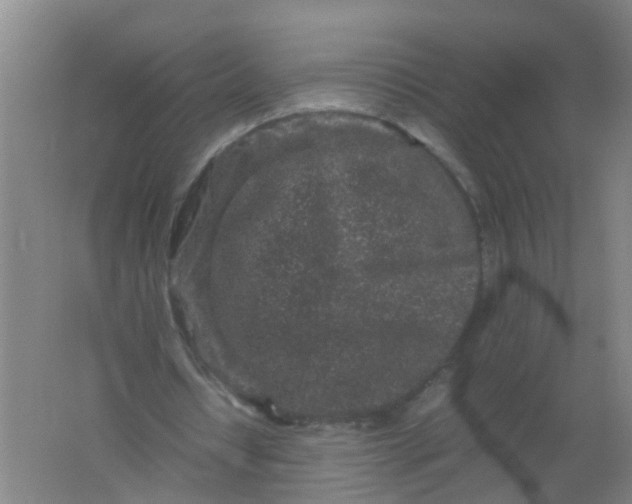 X0000062170434200512231630