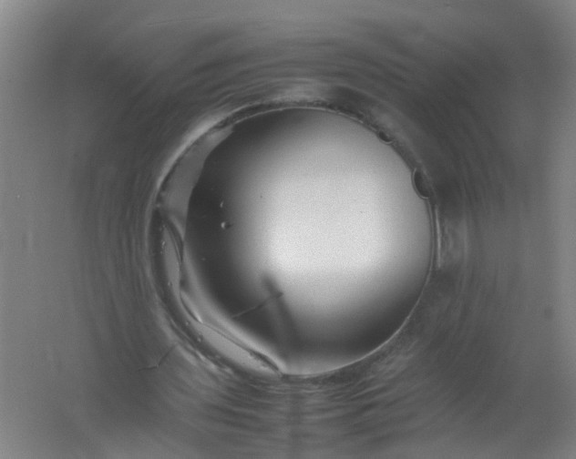 X0000062170435200512231630