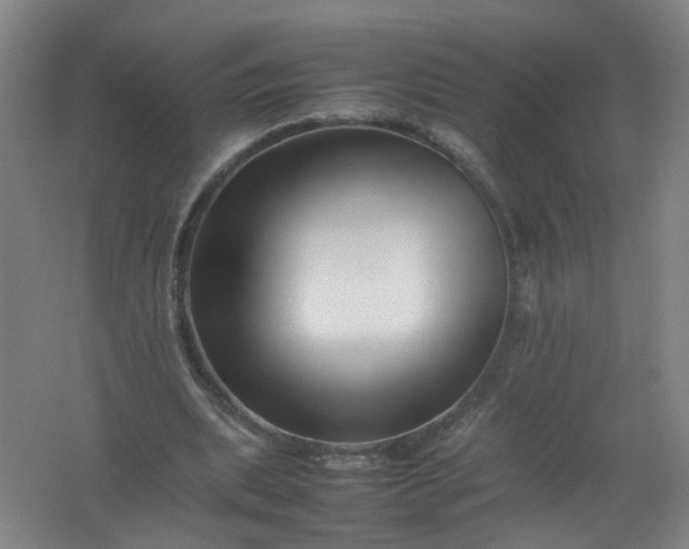 X0000062170439200512231630