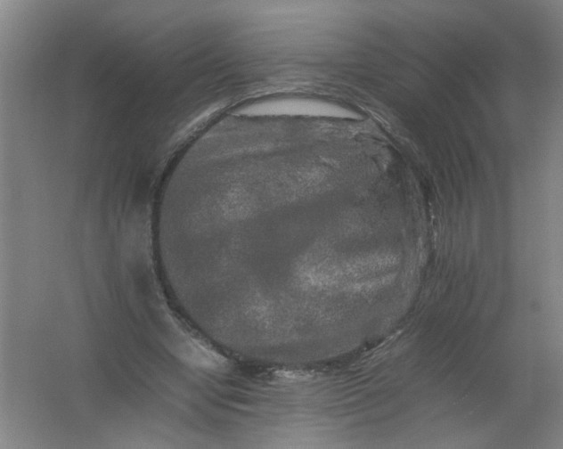 X0000062170442200512231630