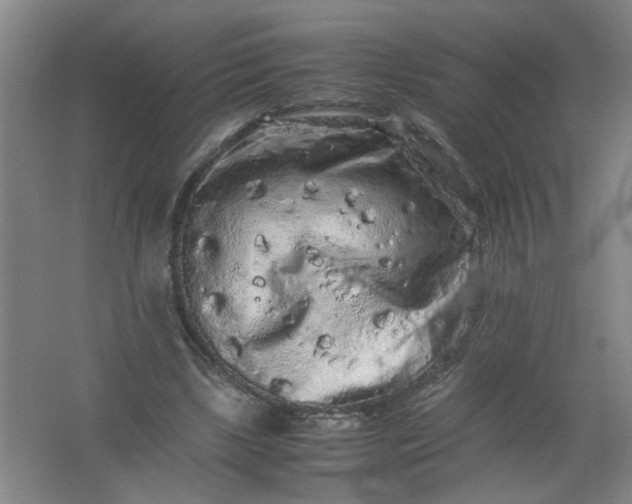 X0000062170443200512231630