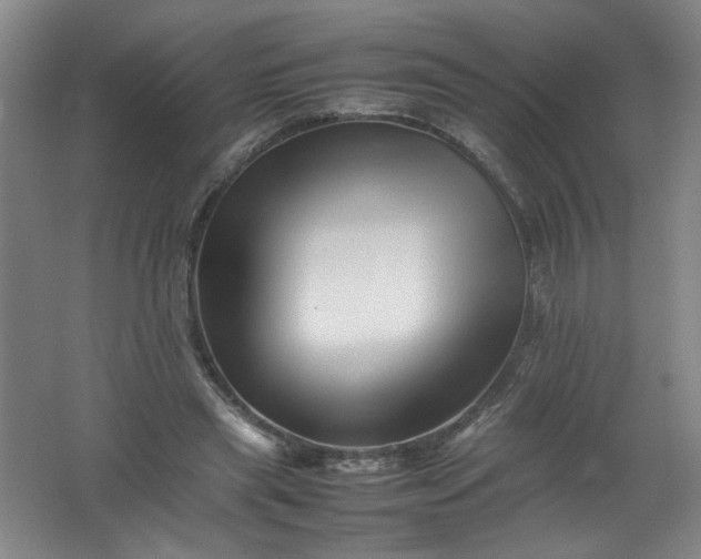 X0000062170445200512231630