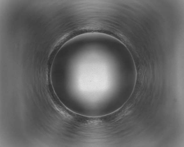 X0000062170446200512231630