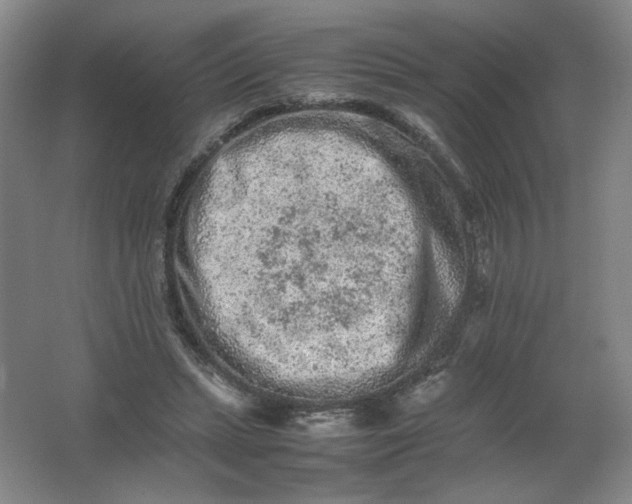 X0000062170447200512231630