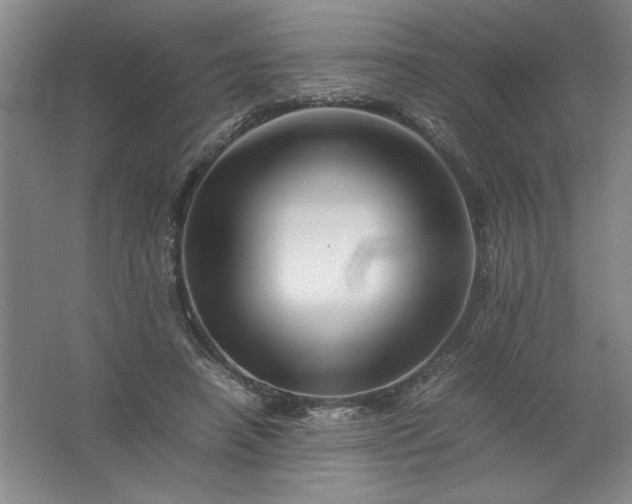 X0000062170450200512231630