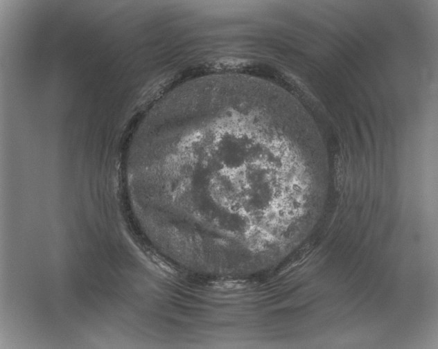 X0000062170451200512231631