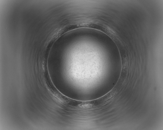 X0000062170452200512231631