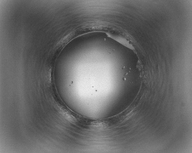 X0000062170454200512231631