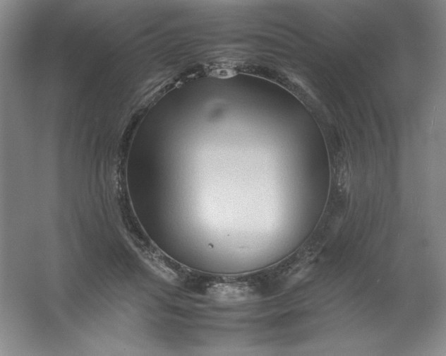 X0000062170455200512231631