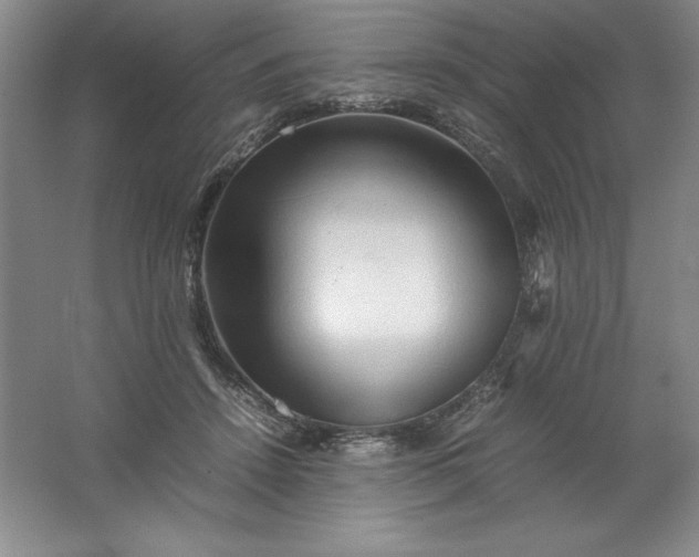 X0000062170456200512231631