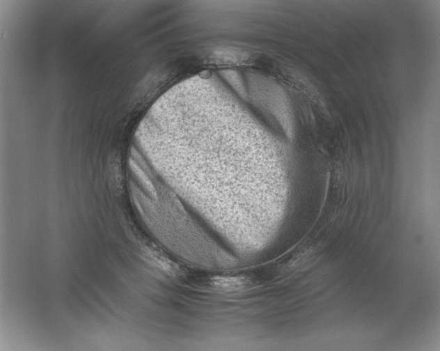 X0000062170457200512231631