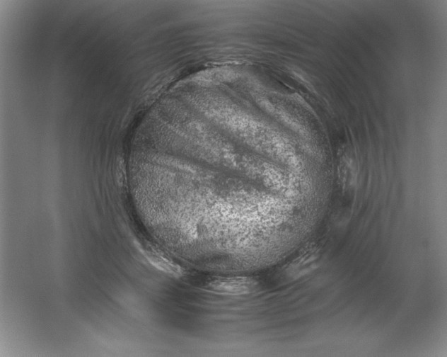 X0000062170459200512231631