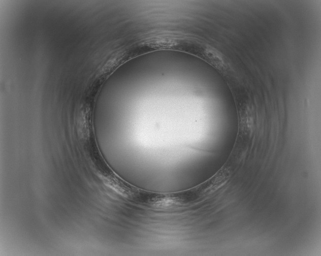 X0000062170460200512231631