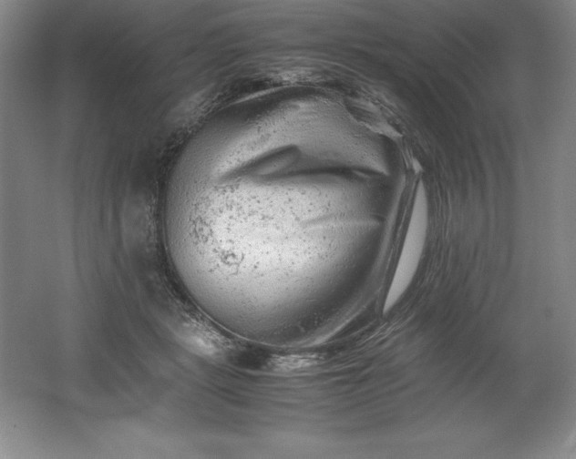 X0000062170461200512231631