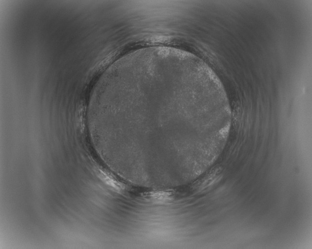 X0000062170462200512231631