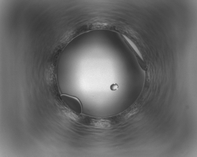 X0000062170463200512231631