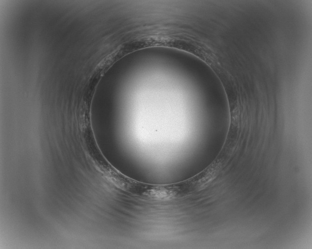 X0000062170464200512231631