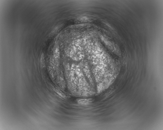 X0000062170465200512231631