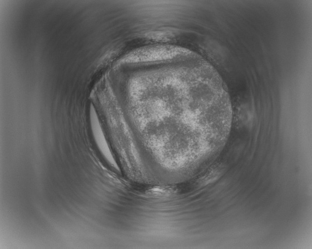 X0000062170466200512231631