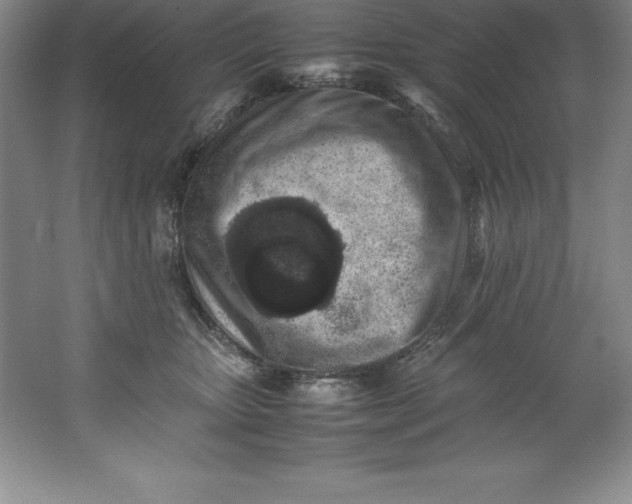 X0000062170467200512231631