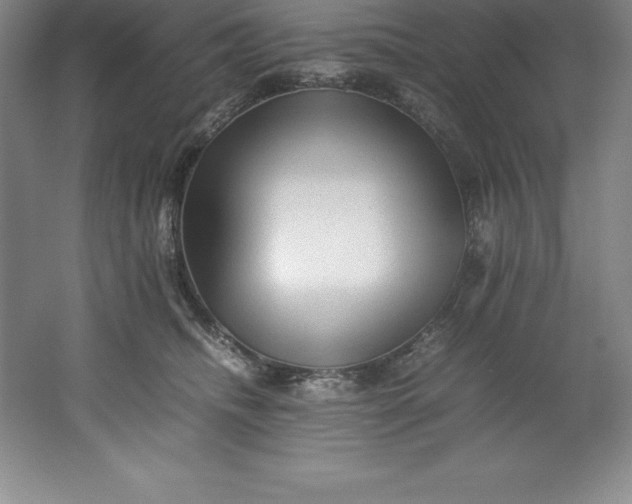 X0000062170468200512231631