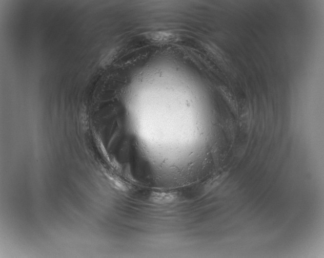 X0000062170469200512231631