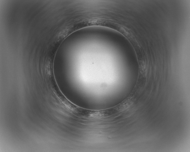 X0000062170470200512231631