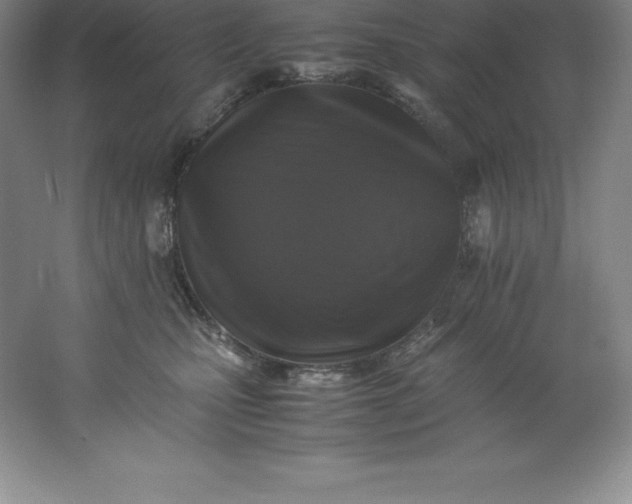 X0000062170471200512231631