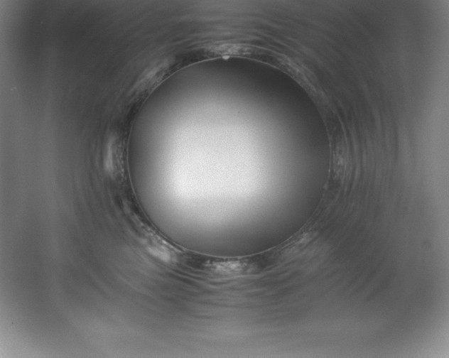 X0000062170473200512231631