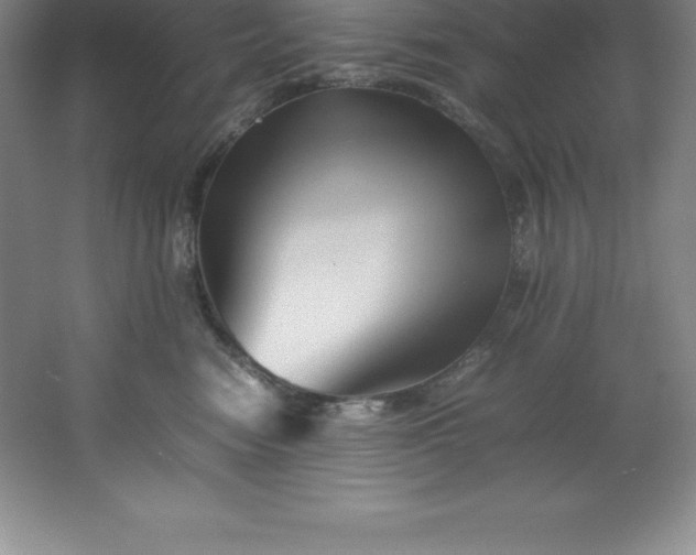 X0000062170474200512231631